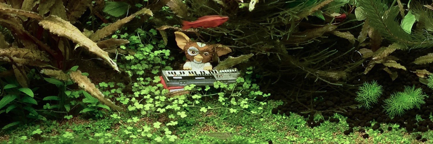 onnnyo's profile banner image