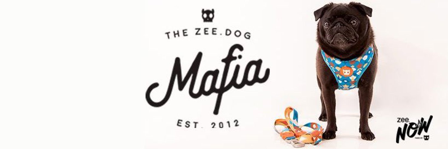 mdalmarco's profile banner image