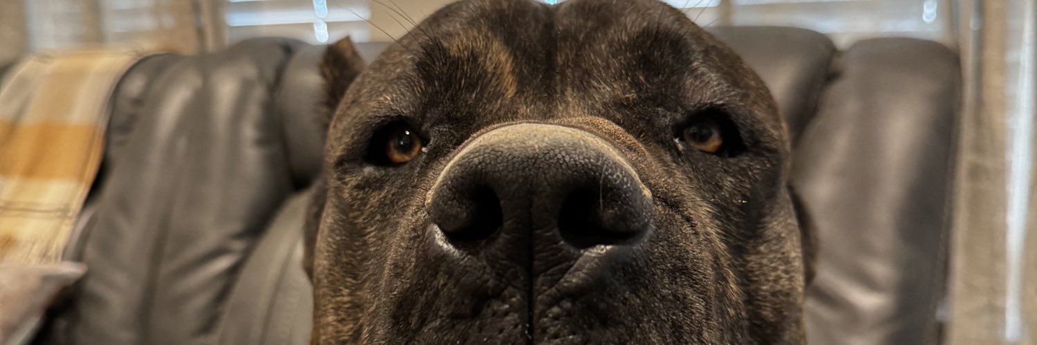 derekdaigle34's profile banner image
