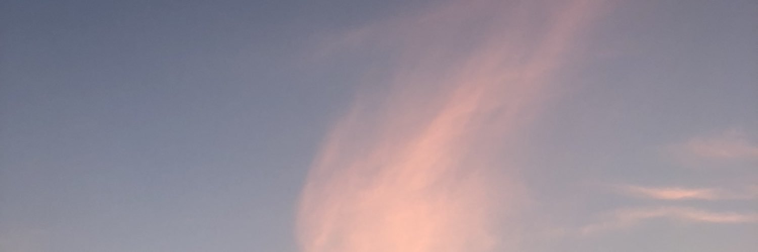 alygill1's profile banner image