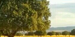 aesecepm3's profile banner image