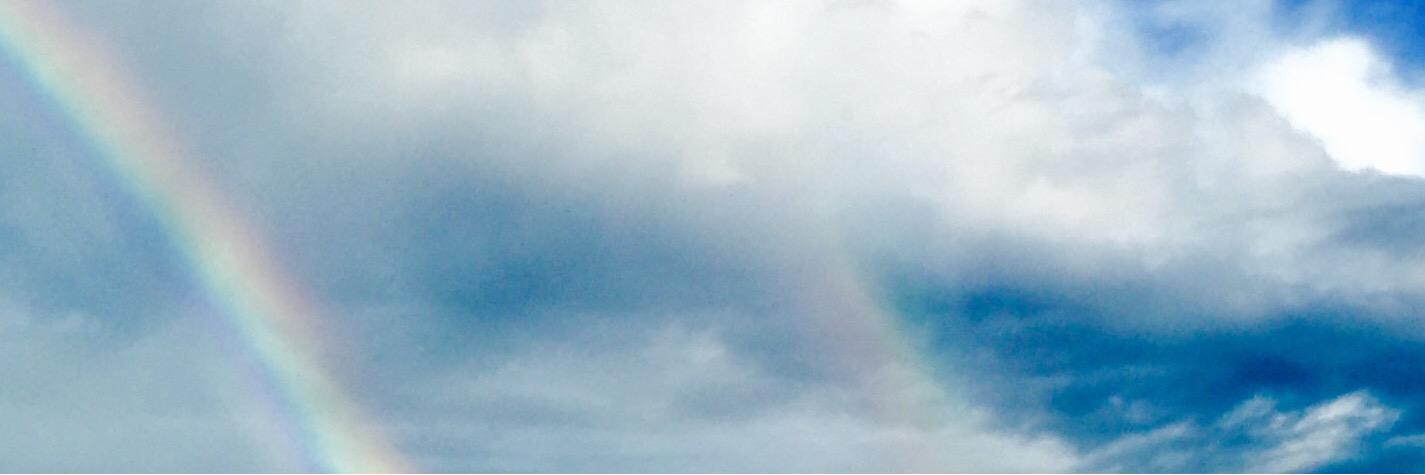 pale_blue__dot's profile banner image