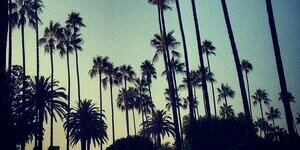 IsaacDaleyFRP's profile banner image