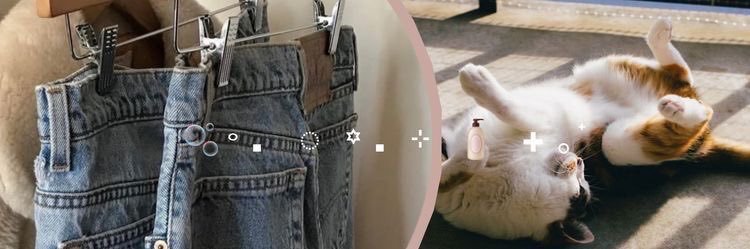 ✮Ariel˚.⋆ banner