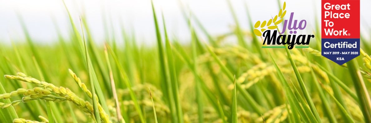 ميار الأغذية banner