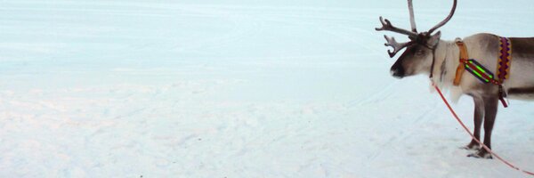 KatieGregory Profile Banner