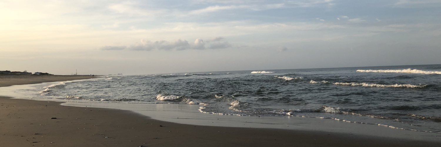 amandaperoe's profile banner image