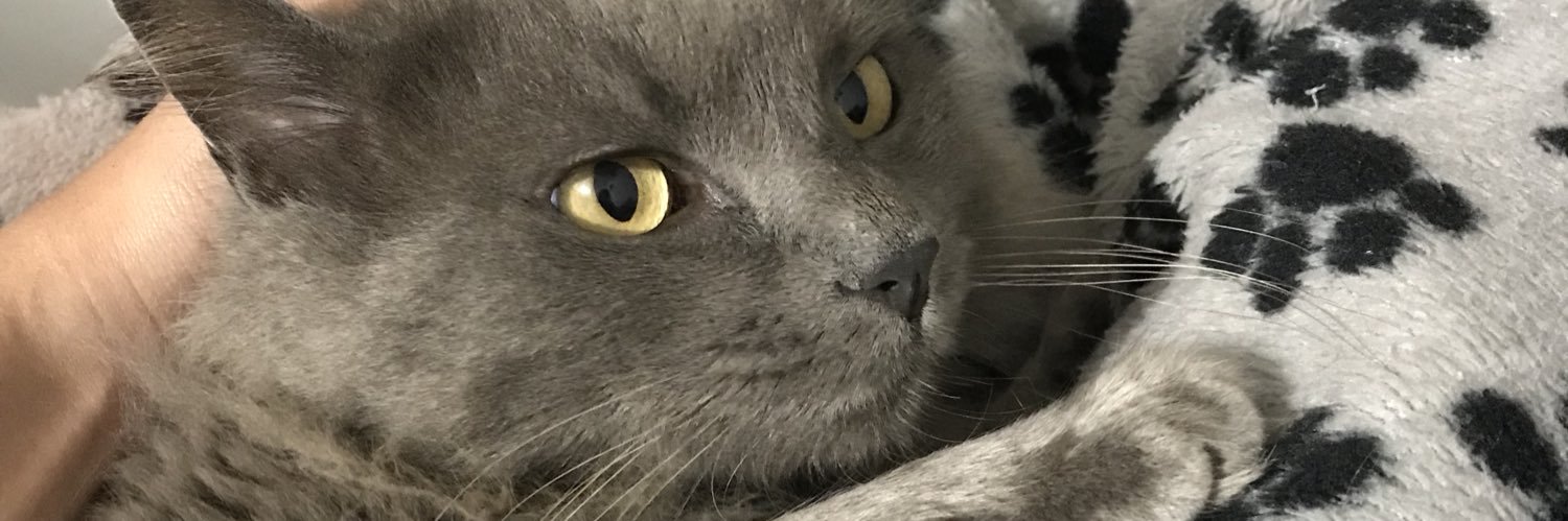sereninilu's profile banner image