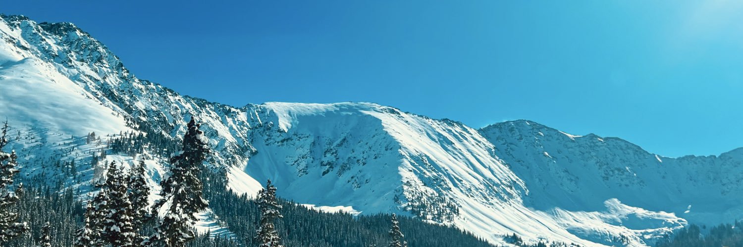 Danielle Dascalos banner