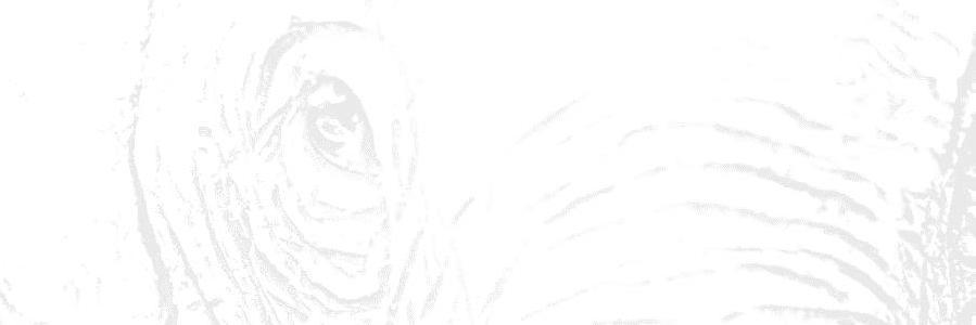 Dr. Dan Warren banner