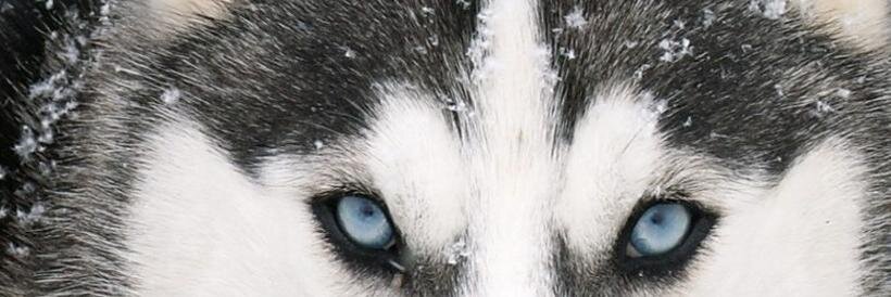 Ivorz's profile banner image
