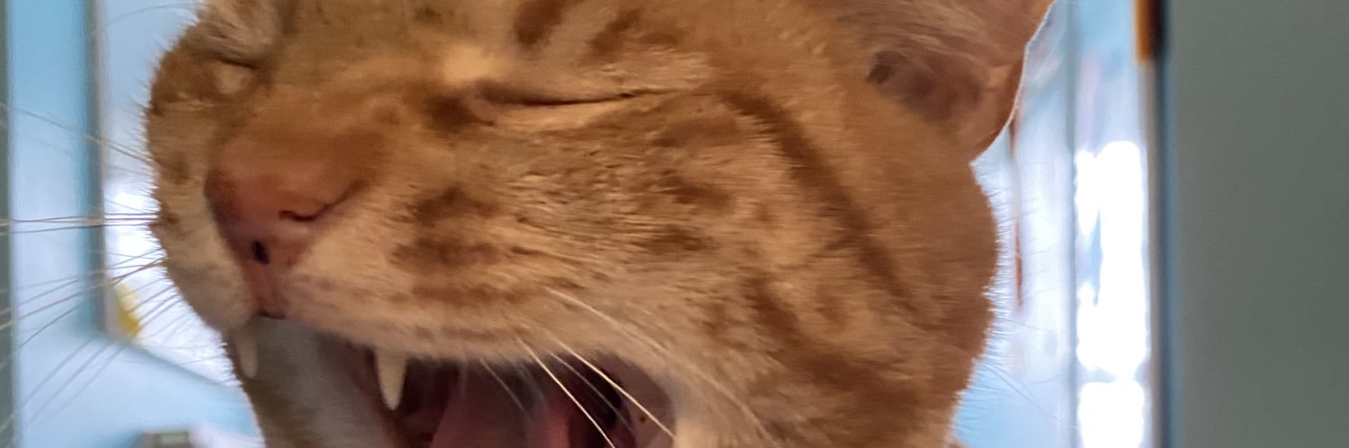livvmitchell's profile banner image