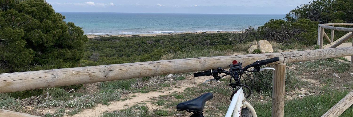 Jimena del Castillo, MD, PhD banner