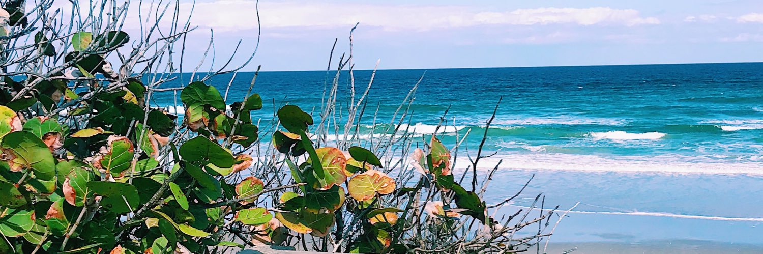 arielperry04's profile banner image
