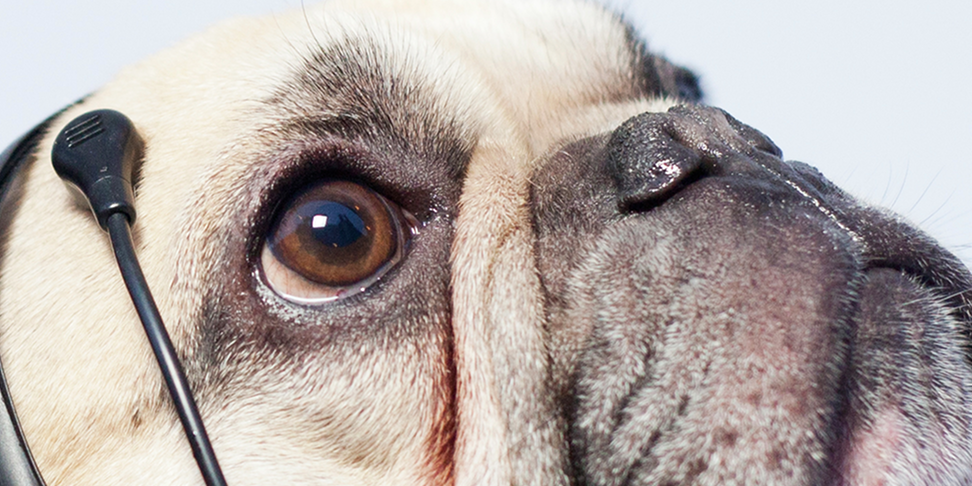 Phonecruncher's profile banner image