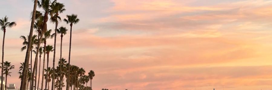 viridiankai's profile banner image