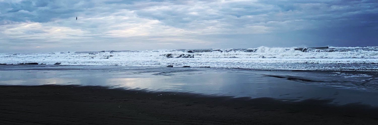 橋本 巧 banner