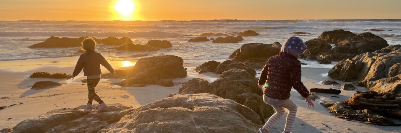 Ruth E. Timme banner