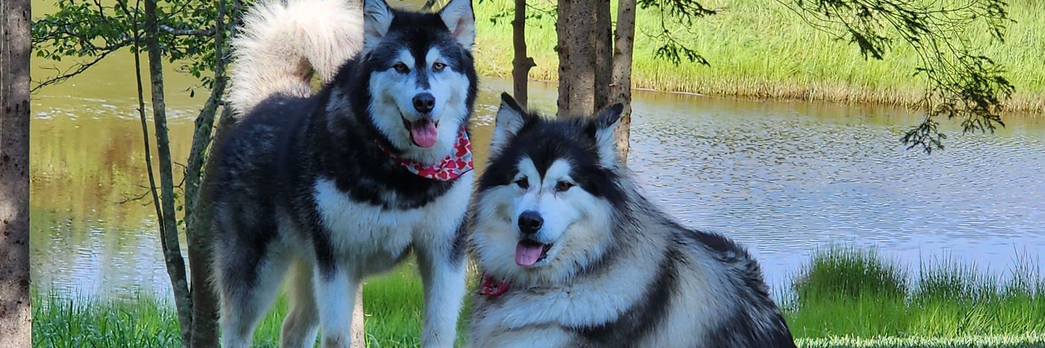 Louise Landry banner