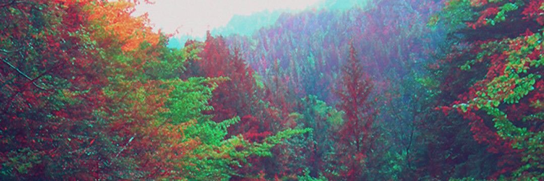 adamgiard's profile banner image