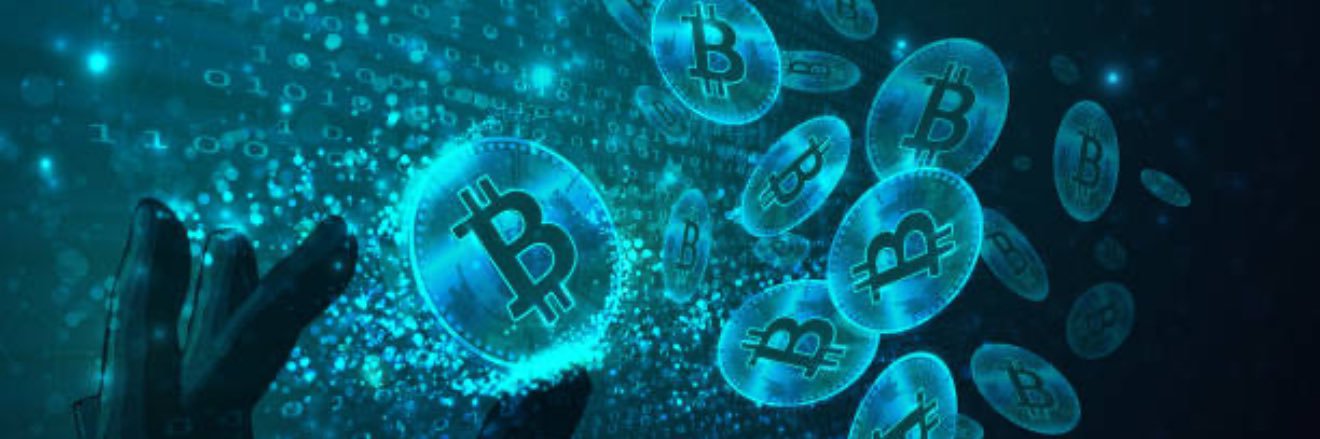 BTCBackroads banner