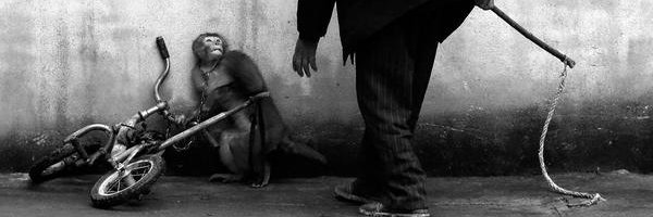 wezlangdon Profile Banner