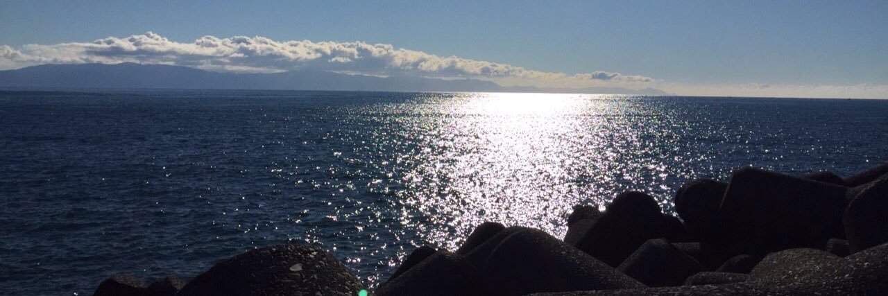 若田  彩実 banner