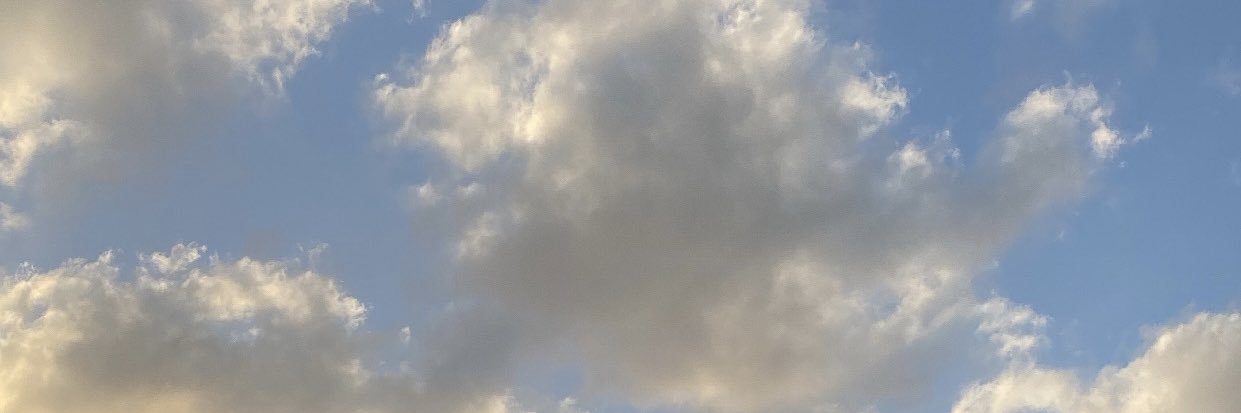 mayaabb12's profile banner image