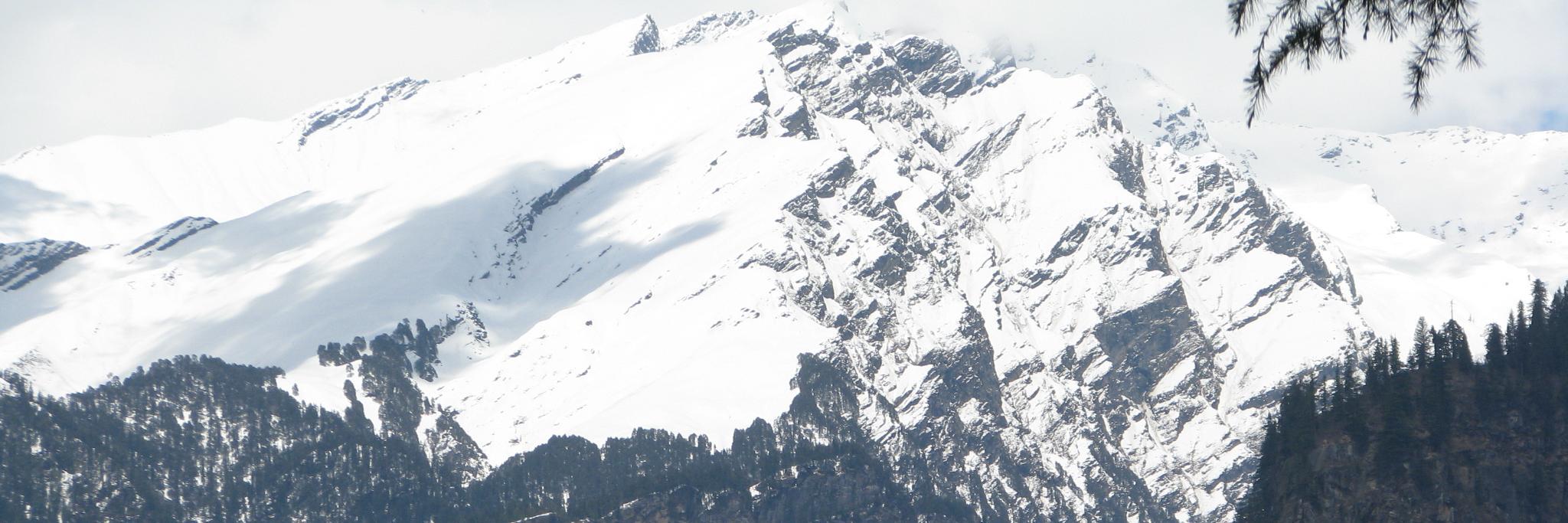 Shweta Khanna Bhandral banner