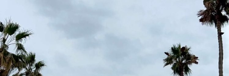 majk2016's profile banner image