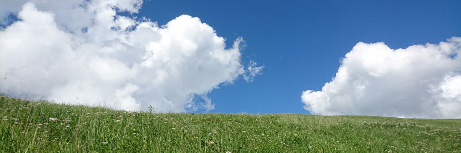 mori9991's profile banner image