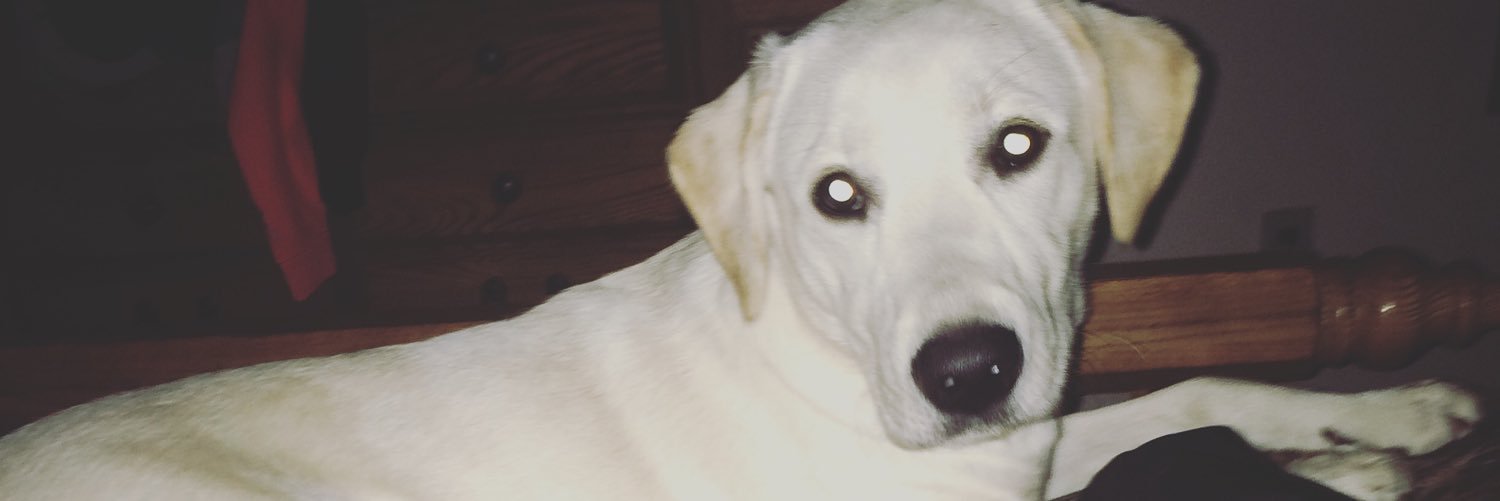 NeekooooleNash's profile banner image