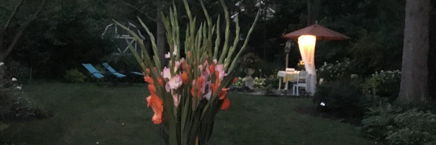 Anne Marie@DropStop banner