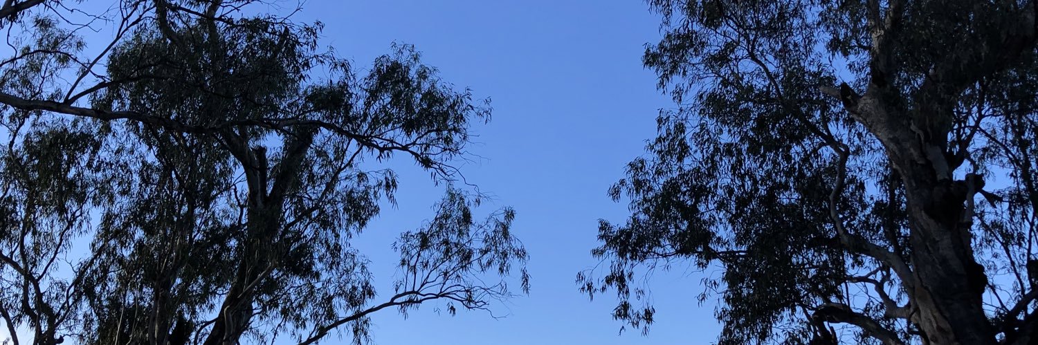 smockpockets's profile banner image
