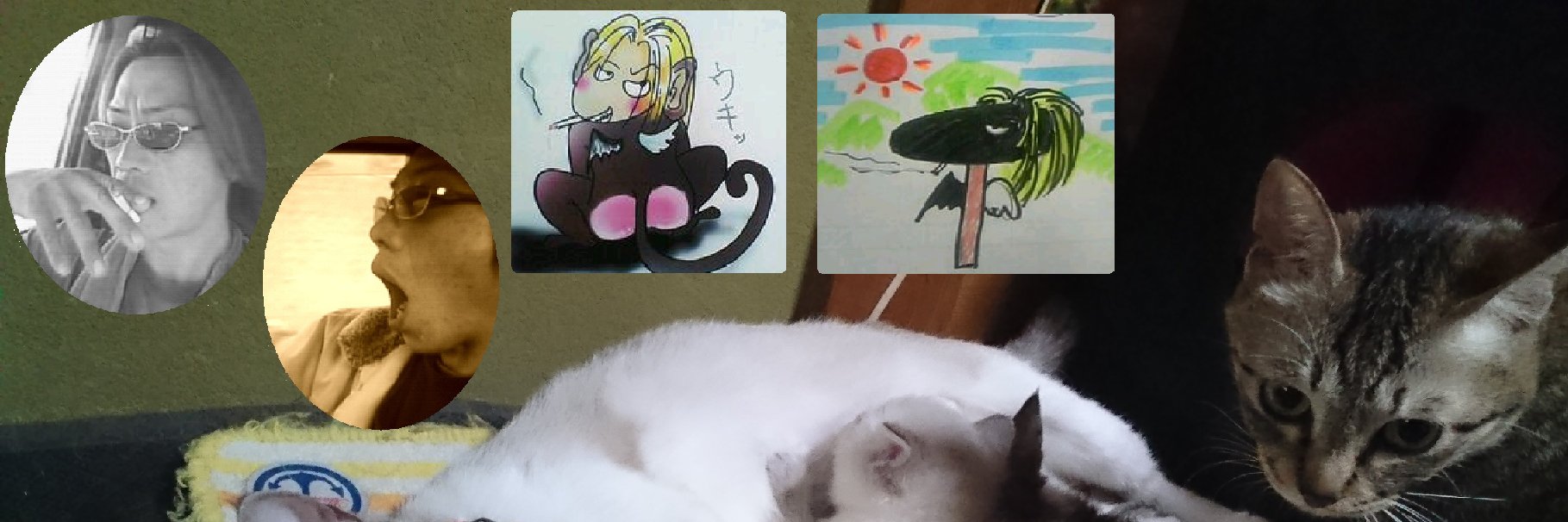 KouTanTown's profile banner image