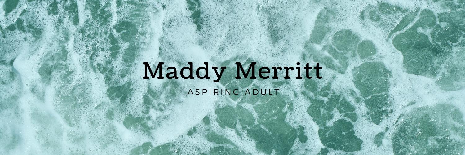 maddymerbear's profile banner image