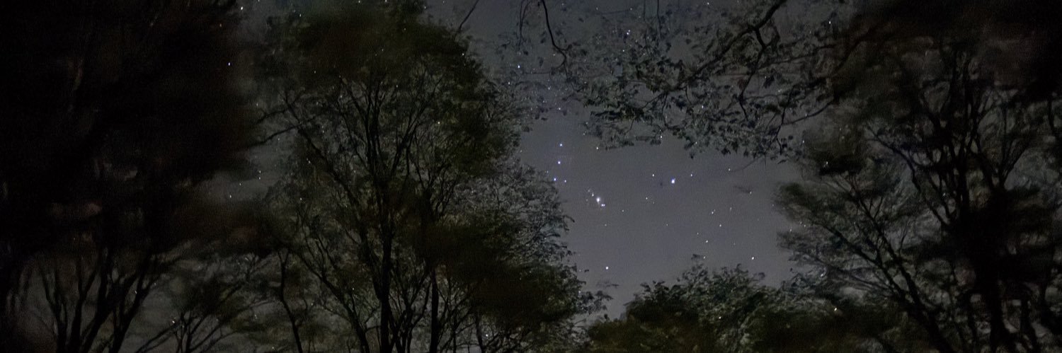 Re_RisLiS419's profile banner image