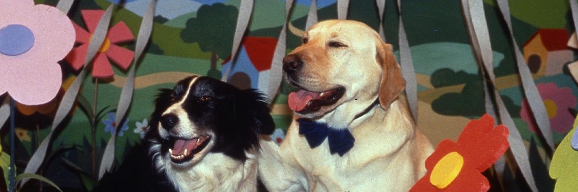 sylvpark's profile banner image
