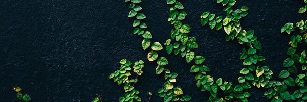 jesalg Profile Banner