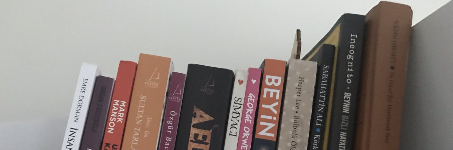 ElifSarito's profile banner image