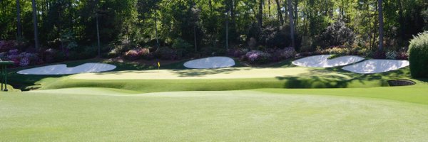 UTTurfWeeds Profile Banner