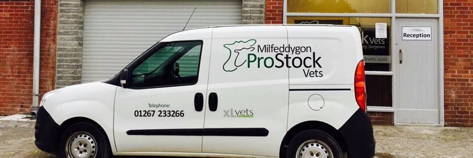 ProStock Vets banner