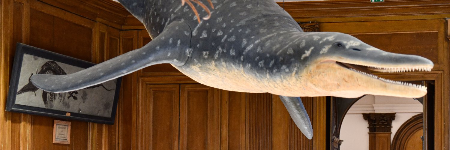 Muséum Angers banner