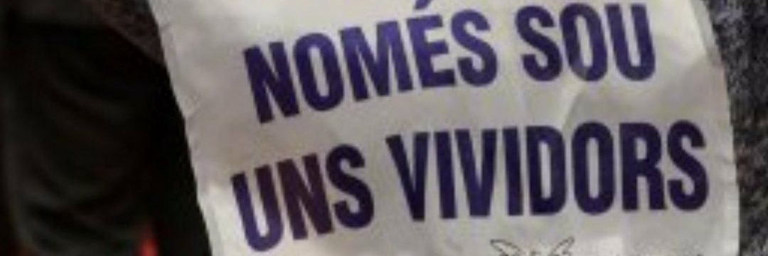 iris banner