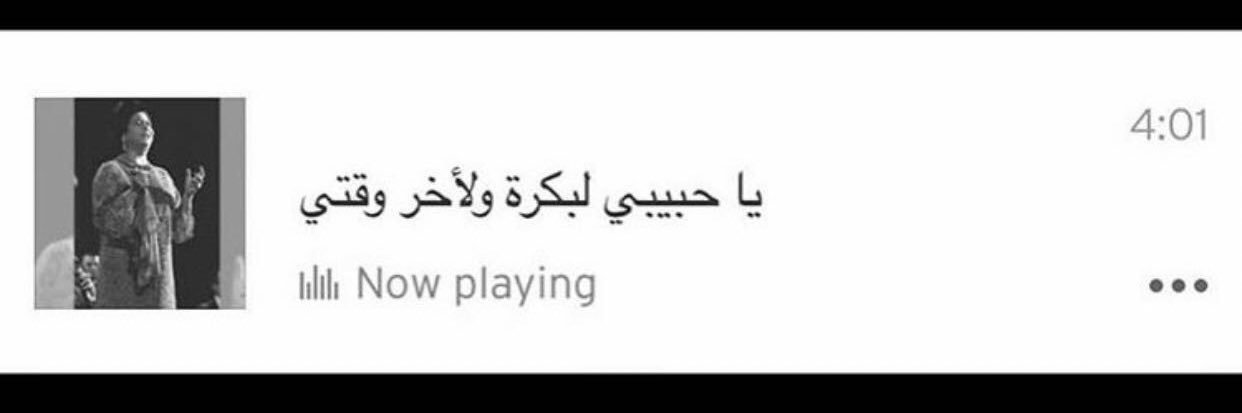 AliM0ha's profile banner image