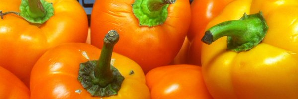 FAMUExt Profile Banner