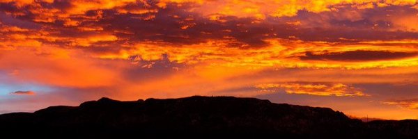 branderzy Profile Banner