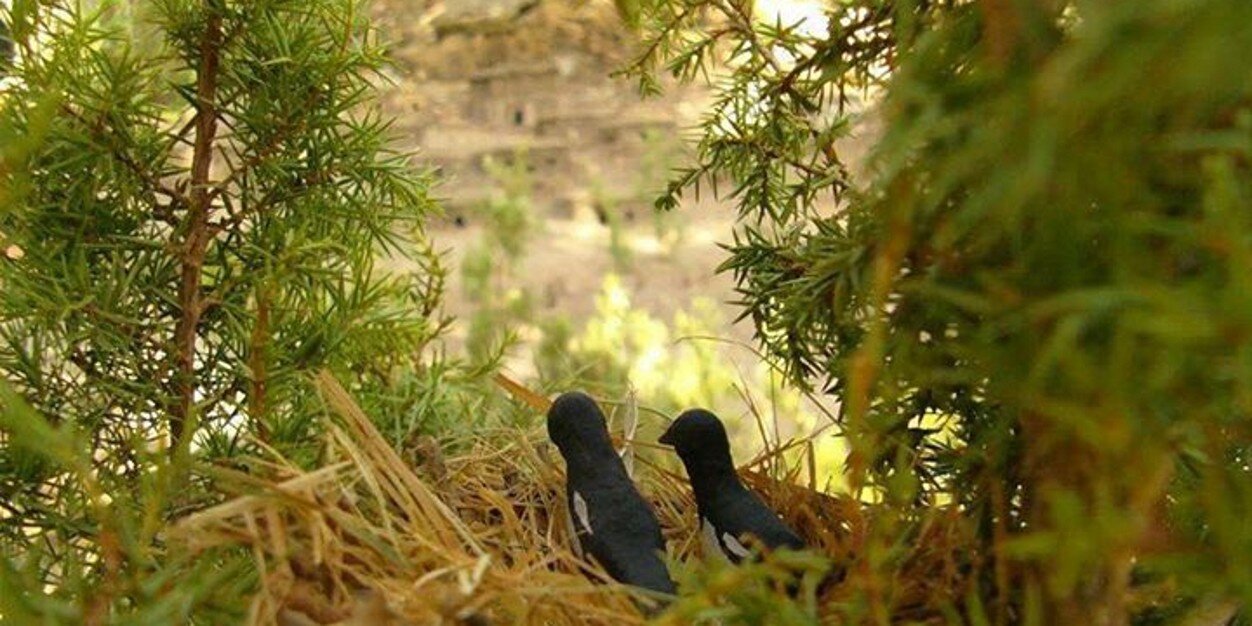 shexobyr's profile banner image