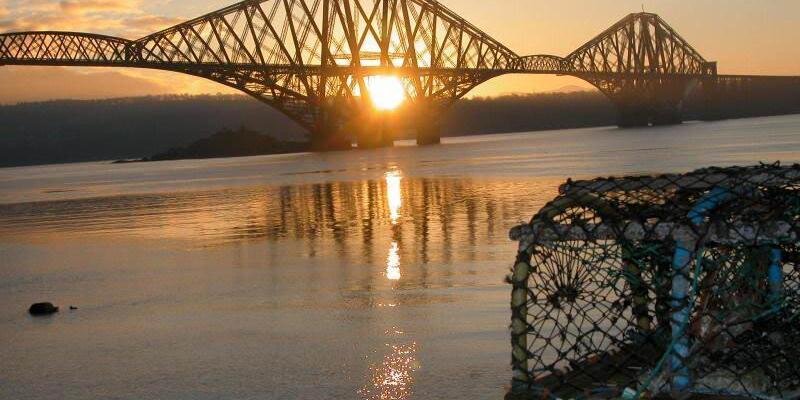 new595rtms14's profile banner image