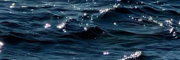 cinderelllass Profile Banner